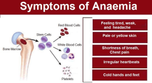 Anemia Symptoms