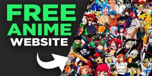 Anime Streaming Sites 