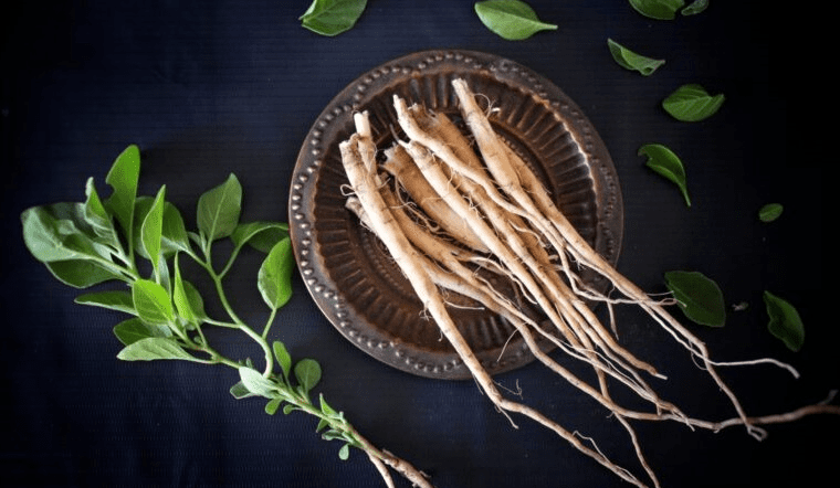 14 Ashwagandha Benefits, Uses, Doses and Side Effects