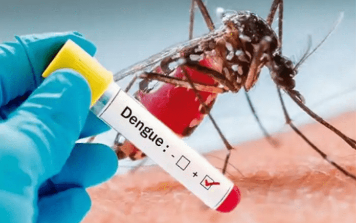 Dengue Fever: Sign & Symptoms, Prevention and Treatment of Dengue Fever