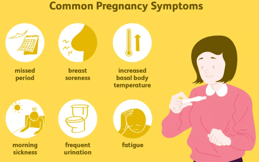 Pregnancy Symptoms