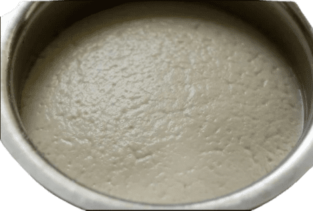 dosa batter Fermentation